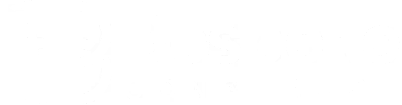 664a5e0a30fe7397238876f3_bespoke-construct-logo-01